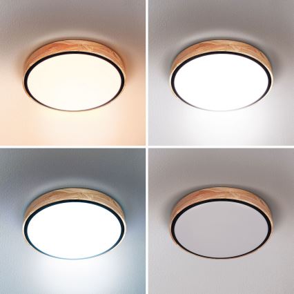 Brilagi - LED Ρυθμιζόμενο φωτιστικό οροφής GLORIA LED/48W/230V 3000-6500K δρυς διάμ. 40 cm + τηλεχειριστήριο