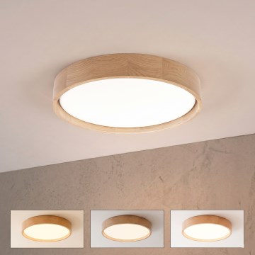 Brilagi - Ρυθμιζόμενο φωτιστικό οροφής LED MANAROLA REMOTE LED/24W/230V 3000-6500K Ø 41 cm σε απόχρωση δρυός + τηλεχειριστήριο