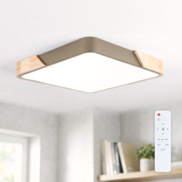 BRILAGI - Ρυθμιζόμενο φωτιστικό οροφής LED PILANA SQUARE LED/48W/230V 3000-6500K δρυς/μπεζ 42x42 cm + τηλεχειριστήριο