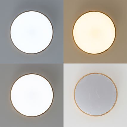 Brilagi - LED Ρυθμιζόμενο φωτιστικό οροφής PINE LED/24W/230V Ø 42 cm 3000–6500K + τηλεχειριστήριο