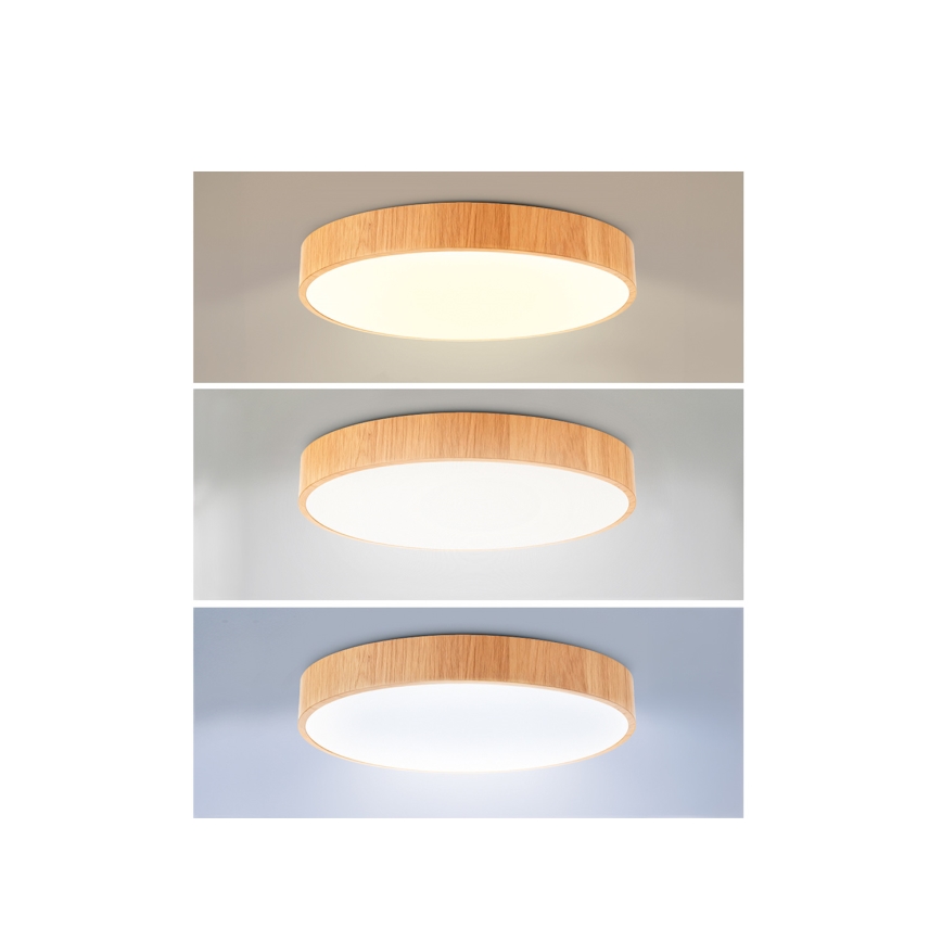 Brilagi - Ρυθμιζόμενο φωτιστικό οροφής LED POOL LED/50W/230V 3000-6000K διάμ. 40 cm, φινίρισμα ξύλου + τηλεχειριστήριο