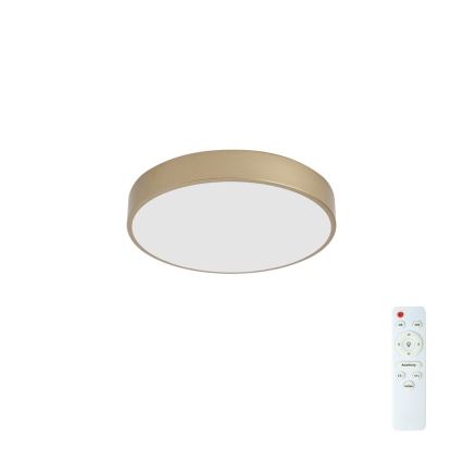 Brilagi - Ρυθμιζόμενο LED φωτιστικό οροφής POOL LED/48W/230V 3000-6000K Ø 40 cm χρυσό + τηλεχειριστήριο