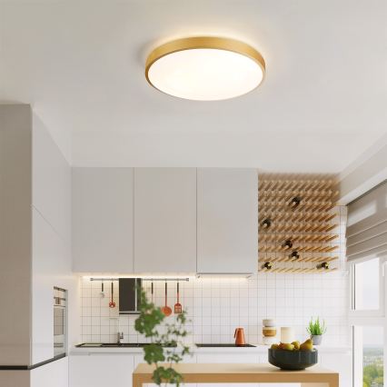 Brilagi - Ρυθμιζόμενο φωτιστικό οροφής LED GLASS POOL DOUBLE LED/48W/230V 3000-6000K 40 cm χρυσό + τηλεχειριστήριο