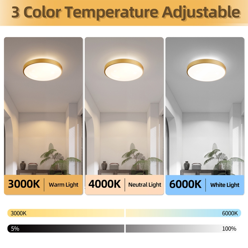 Brilagi - Ρυθμιζόμενο φωτιστικό οροφής LED GLASS POOL DOUBLE LED/48W/230V 3000-6000K 40 cm χρυσό + τηλεχειριστήριο