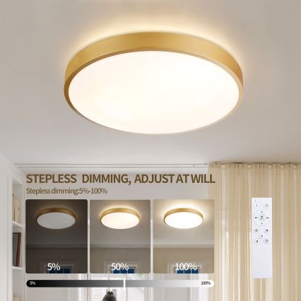 Brilagi - Ρυθμιζόμενο φωτιστικό οροφής LED GLASS POOL DOUBLE LED/48W/230V 3000-6000K 40 cm χρυσό + τηλεχειριστήριο