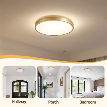 Brilagi - Ρυθμιζόμενο φωτιστικό οροφής LED GLASS POOL DOUBLE LED/48W/230V 3000-6000K 40 cm χρυσό + τηλεχειριστήριο