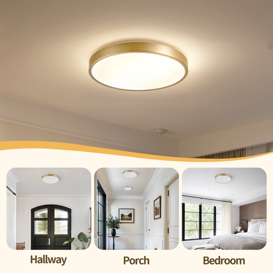 Brilagi - Ρυθμιζόμενο φωτιστικό οροφής LED GLASS POOL DOUBLE LED/48W/230V 3000-6000K 40 cm χρυσό + τηλεχειριστήριο