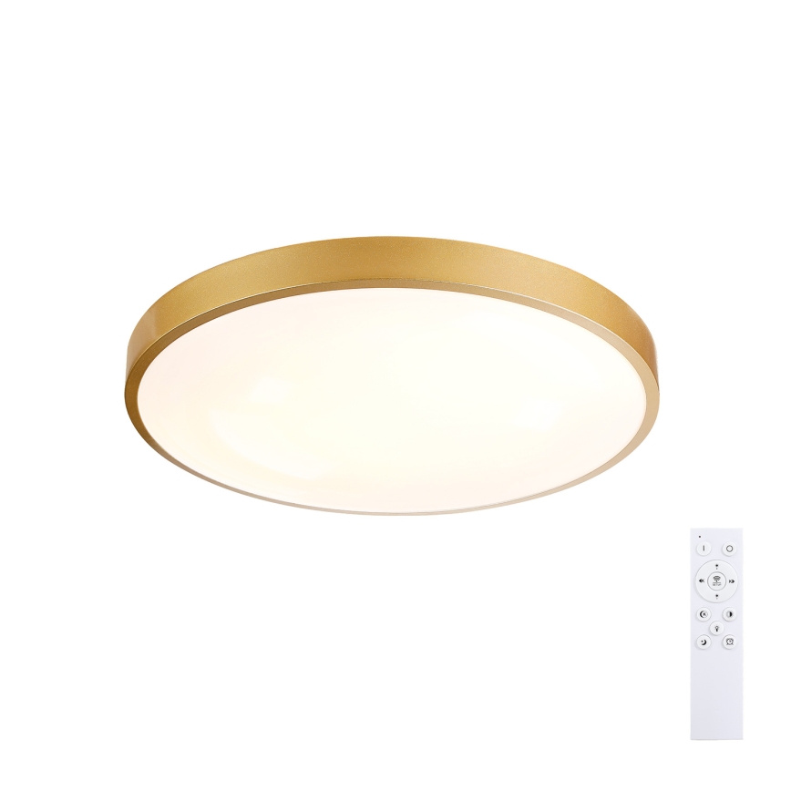 Brilagi - Ρυθμιζόμενο φωτιστικό οροφής LED GLASS POOL DOUBLE LED/48W/230V 3000-6000K 40 cm χρυσό + τηλεχειριστήριο