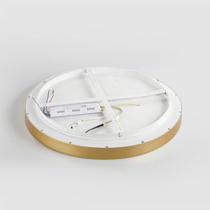 Brilagi - Ρυθμιζόμενο φωτιστικό οροφής LED GLASS POOL DOUBLE LED/48W/230V 3000-6000K 40 cm χρυσό + τηλεχειριστήριο
