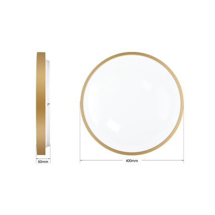 Brilagi - Ρυθμιζόμενο φωτιστικό οροφής LED GLASS POOL DOUBLE LED/48W/230V 3000-6000K 40 cm χρυσό + τηλεχειριστήριο