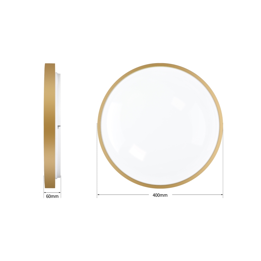 Brilagi - Ρυθμιζόμενο φωτιστικό οροφής LED GLASS POOL DOUBLE LED/48W/230V 3000-6000K 40 cm χρυσό + τηλεχειριστήριο