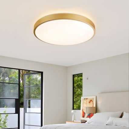 Brilagi - LED ρυθμιζόμενο φωτιστικό οροφής GLASS POOL DOUBLE LED/60W/230V 3000-6000K 50 cm χρυσό + τηλεχειριστήριο