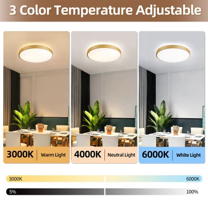 Brilagi - LED ρυθμιζόμενο φωτιστικό οροφής GLASS POOL DOUBLE LED/60W/230V 3000-6000K 50 cm χρυσό + τηλεχειριστήριο