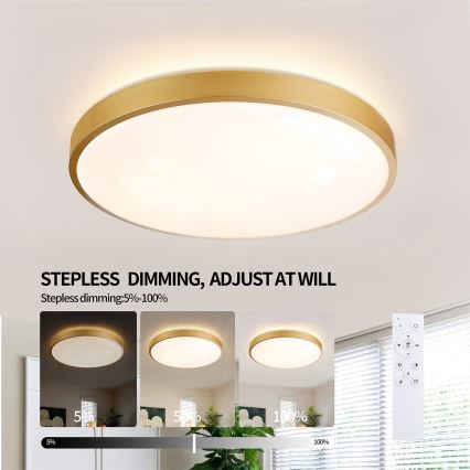 Brilagi - LED ρυθμιζόμενο φωτιστικό οροφής GLASS POOL DOUBLE LED/60W/230V 3000-6000K 50 cm χρυσό + τηλεχειριστήριο