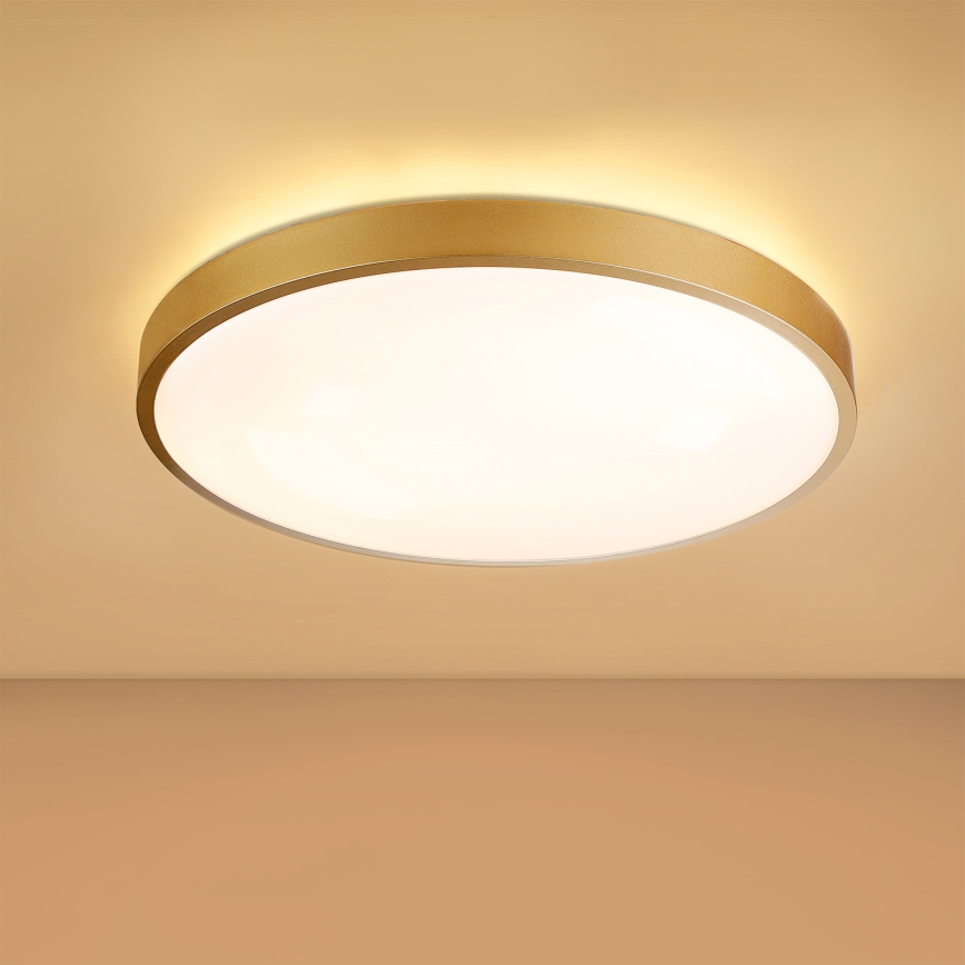 Brilagi - LED ρυθμιζόμενο φωτιστικό οροφής GLASS POOL DOUBLE LED/60W/230V 3000-6000K 50 cm χρυσό + τηλεχειριστήριο