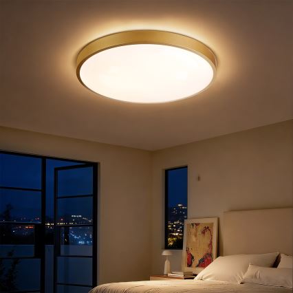 Brilagi - LED ρυθμιζόμενο φωτιστικό οροφής GLASS POOL DOUBLE LED/60W/230V 3000-6000K 50 cm χρυσό + τηλεχειριστήριο