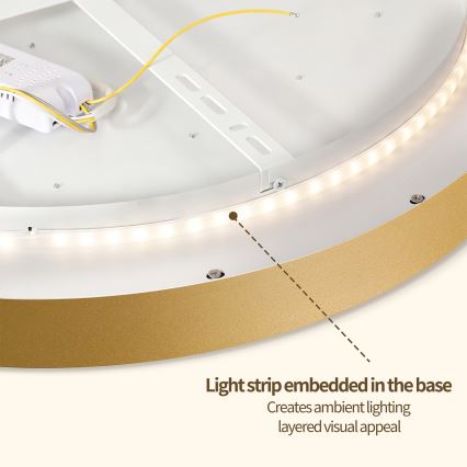 Brilagi - LED ρυθμιζόμενο φωτιστικό οροφής GLASS POOL DOUBLE LED/60W/230V 3000-6000K 50 cm χρυσό + τηλεχειριστήριο