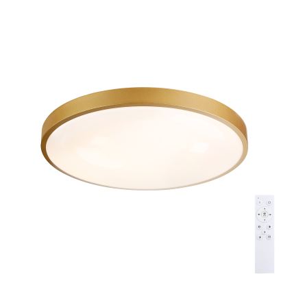 Brilagi - LED ρυθμιζόμενο φωτιστικό οροφής GLASS POOL DOUBLE LED/60W/230V 3000-6000K 50 cm χρυσό + τηλεχειριστήριο