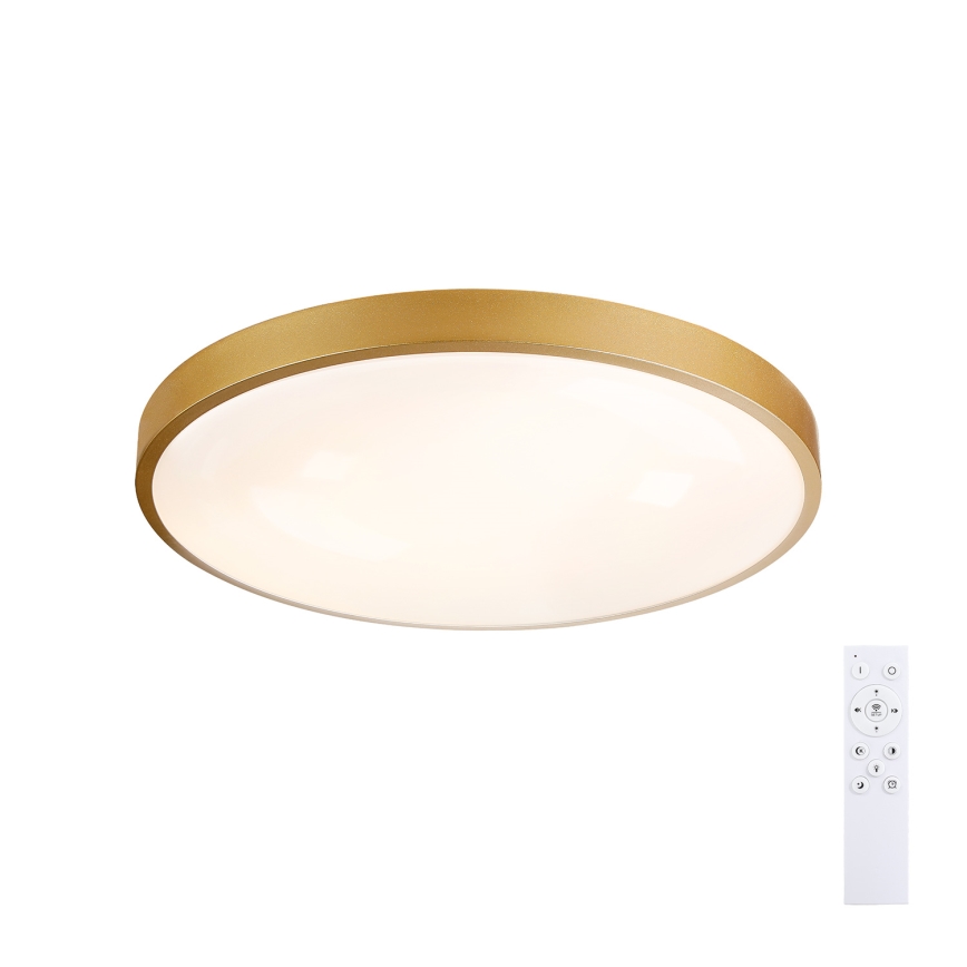Brilagi - LED ρυθμιζόμενο φωτιστικό οροφής GLASS POOL DOUBLE LED/60W/230V 3000-6000K 50 cm χρυσό + τηλεχειριστήριο
