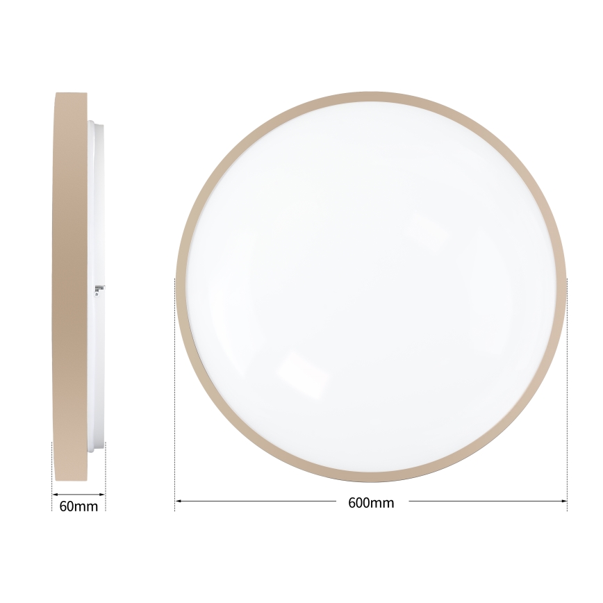 Brilagi - LED ρυθμιζόμενο φωτιστικό οροφής GLASS POOL DOUBLE LED/80W/230V 3000-6000K 60 cm μπεζ + τηλεχειριστήριο