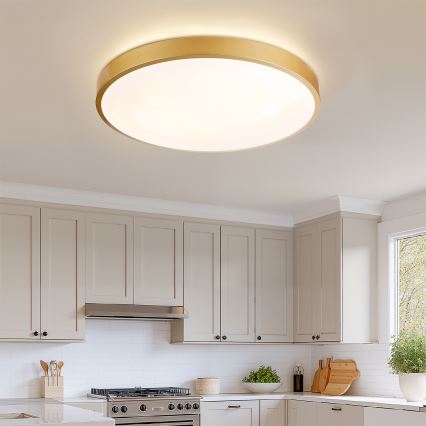Brilagi - LED ρυθμιζόμενο φωτιστικό οροφής GLASS POOL DOUBLE LED/80W/230V 3000-6000K 60 cm χρυσό + τηλεχειριστήριο