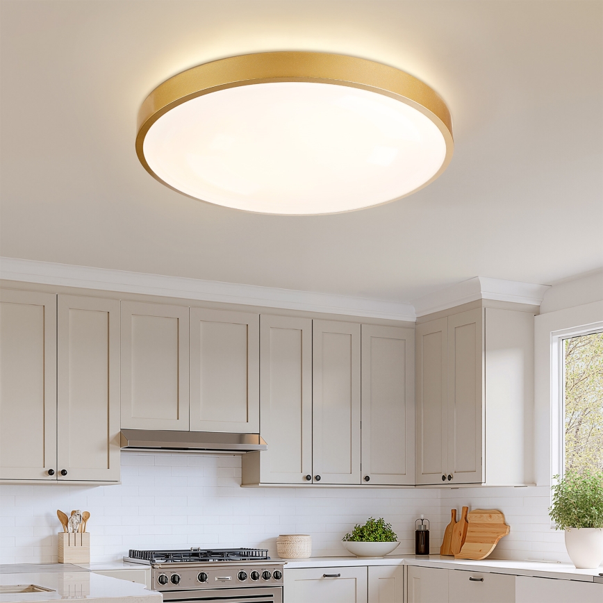 Brilagi - LED ρυθμιζόμενο φωτιστικό οροφής GLASS POOL DOUBLE LED/80W/230V 3000-6000K 60 cm χρυσό + τηλεχειριστήριο
