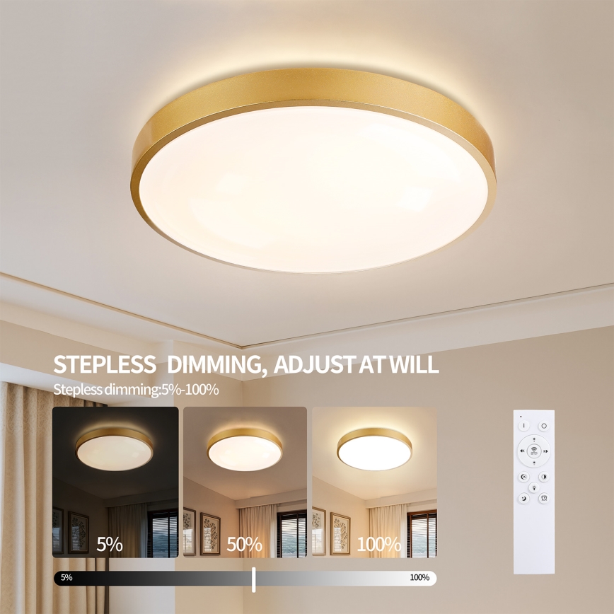 Brilagi - LED ρυθμιζόμενο φωτιστικό οροφής GLASS POOL DOUBLE LED/80W/230V 3000-6000K 60 cm χρυσό + τηλεχειριστήριο