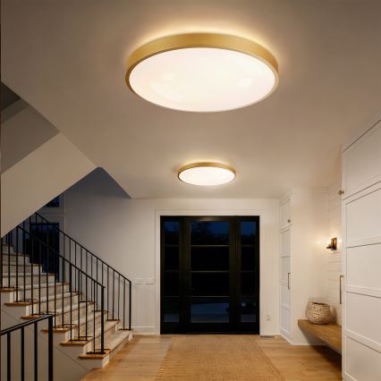 Brilagi - LED ρυθμιζόμενο φωτιστικό οροφής GLASS POOL DOUBLE LED/80W/230V 3000-6000K 60 cm χρυσό + τηλεχειριστήριο