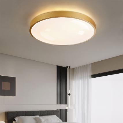 Brilagi - LED ρυθμιζόμενο φωτιστικό οροφής GLASS POOL DOUBLE LED/80W/230V 3000-6000K 60 cm χρυσό + τηλεχειριστήριο