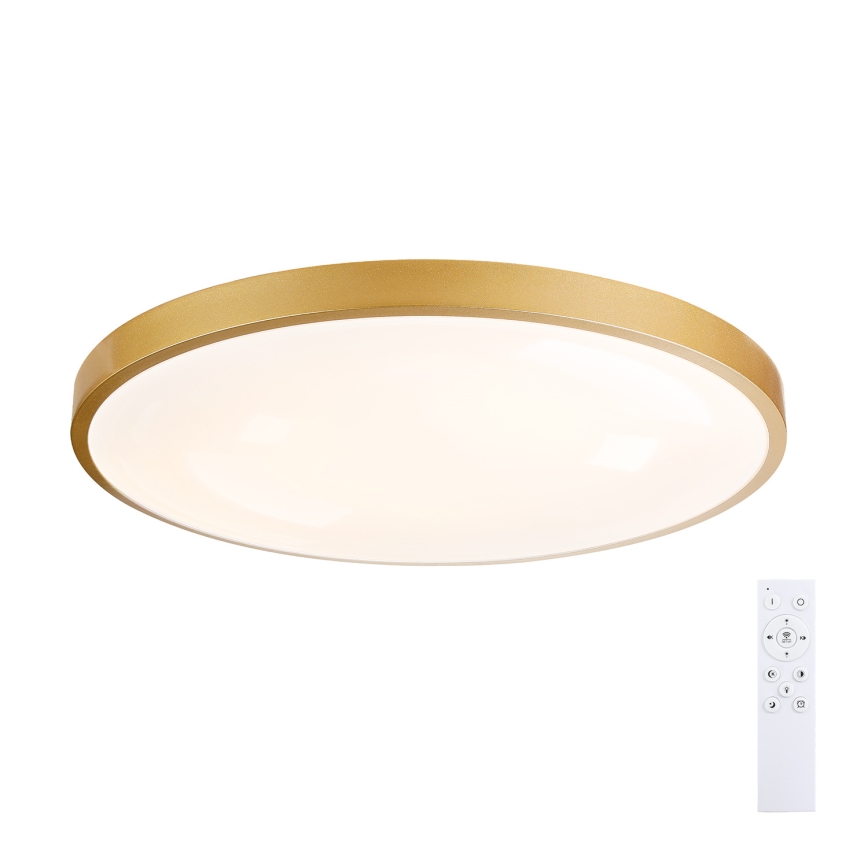 Brilagi - LED ρυθμιζόμενο φωτιστικό οροφής GLASS POOL DOUBLE LED/80W/230V 3000-6000K 60 cm χρυσό + τηλεχειριστήριο