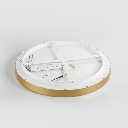 Brilagi - LED ρυθμιζόμενο φωτιστικό οροφής GLASS POOL DOUBLE LED/80W/230V 3000-6000K 60 cm χρυσό + τηλεχειριστήριο