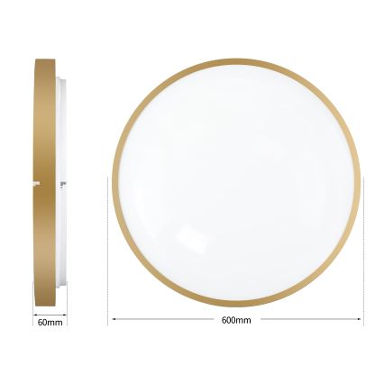 Brilagi - LED ρυθμιζόμενο φωτιστικό οροφής GLASS POOL DOUBLE LED/80W/230V 3000-6000K 60 cm χρυσό + τηλεχειριστήριο