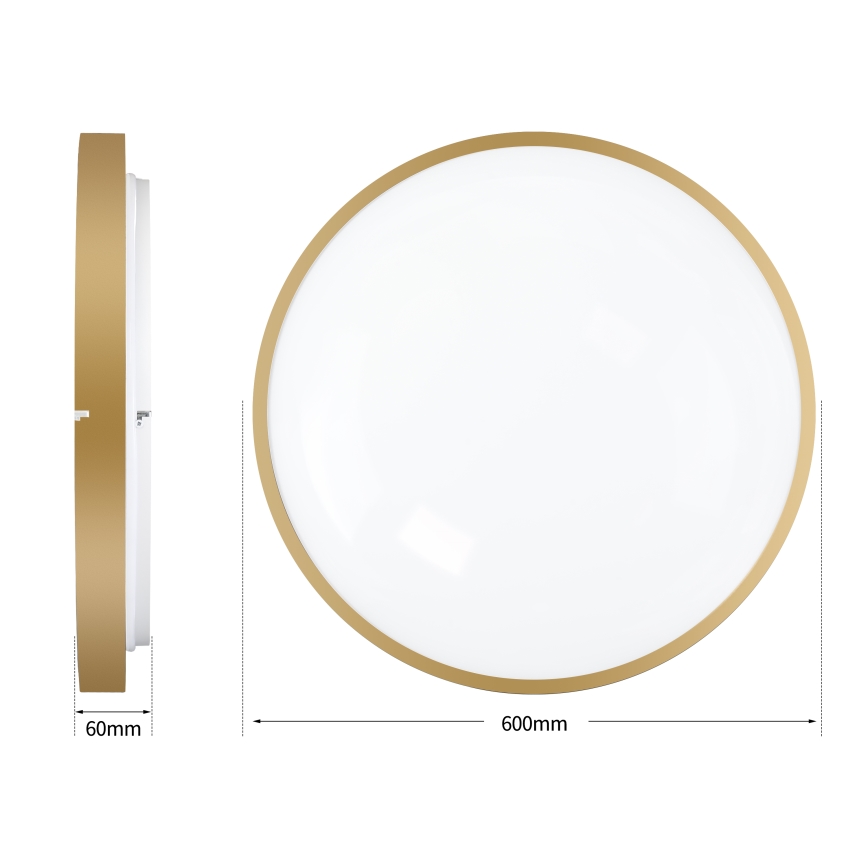 Brilagi - LED ρυθμιζόμενο φωτιστικό οροφής GLASS POOL DOUBLE LED/80W/230V 3000-6000K 60 cm χρυσό + τηλεχειριστήριο