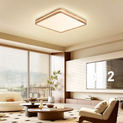Brilagi - Ρυθμιζόμενο LED φωτιστικό οροφής MOLINA SQUARE LED/80W/230V 3000-6000K δρυς 60x60 cm + τηλεχειριστήριο