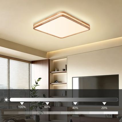 Brilagi - Ρυθμιζόμενο LED φωτιστικό οροφής MOLINA SQUARE LED/80W/230V 3000-6000K δρυς 60x60 cm + τηλεχειριστήριο