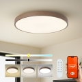 Brilagi - Ρυθμιζόμενο LED φωτιστικό POOL SMART LED/100W/230V Ø 80 cm 3000-6000K Wi-Fi Tuya + τηλεχειριστήριο καφέ