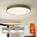 Brilagi - Ρυθμιζόμενο LED φωτιστικό POOL SMART LED/100W/230V Ø 80 cm 3000-6000K Wi-Fi Tuya + τηλεχειριστήριο πράσινο