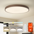 Brilagi - Ρυθμιζόμενο LED φωτιστικό POOL SMART LED/128W/230V Ø 100 cm 3000-6000K Wi-Fi Tuya + τηλεχειριστήριο καφέ