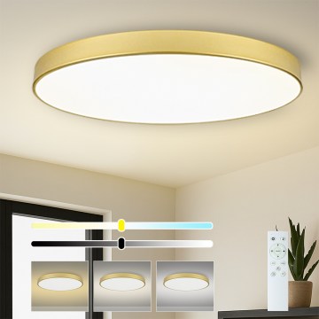 Brilagi - Ρυθμιζόμενο LED φωτιστικό POOL SMART LED/180W/230V 120 cm χρυσό Wi-Fi Tuya + τηλεχειριστήριο