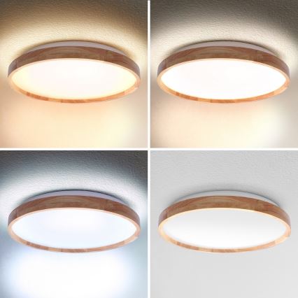 Brilagi - Ρυθμιζόμενο LED φωτιστικό οροφής ALSON LED/48W/230V 3000-6500K σε απόχρωση δρυός, διάμ. 39,5 cm + τηλεχειριστήριο