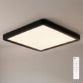 Brilagi - Ρυθμιζόμενο LED φωτιστικό οροφής ESTELA SQUARE LED/36W/230V 3000-6500K 31x31 cm μαύρο + τηλεχειριστήριο