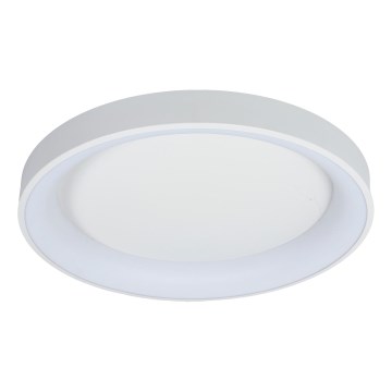 Brilagi - Ρυθμιζόμενο LED φωτιστικό οροφής FALCON II LED/99W/230V 3000-6500K Ø 60 cm λευκό + τηλεχειριστήριο