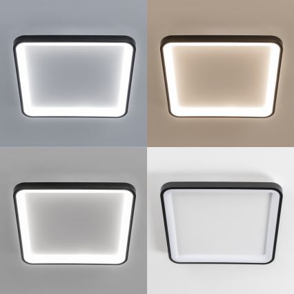 Brilagi - Ρυθμιζόμενο LED φωτιστικό οροφής FALCON SLIM LED/50W/230V 3000-6500K 50x50 cm μαύρο + τηλεχειριστήριο