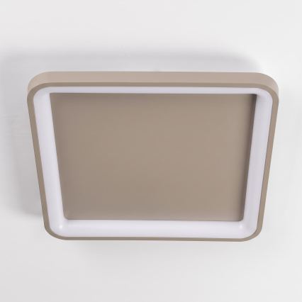 BRILAGI - LED Ρυθμιζόμενο φωτιστικό οροφής FALCON SLIM LED/50W/230V 3000-6500K 50x50 cm μπεζ + τηλεχειριστήριο