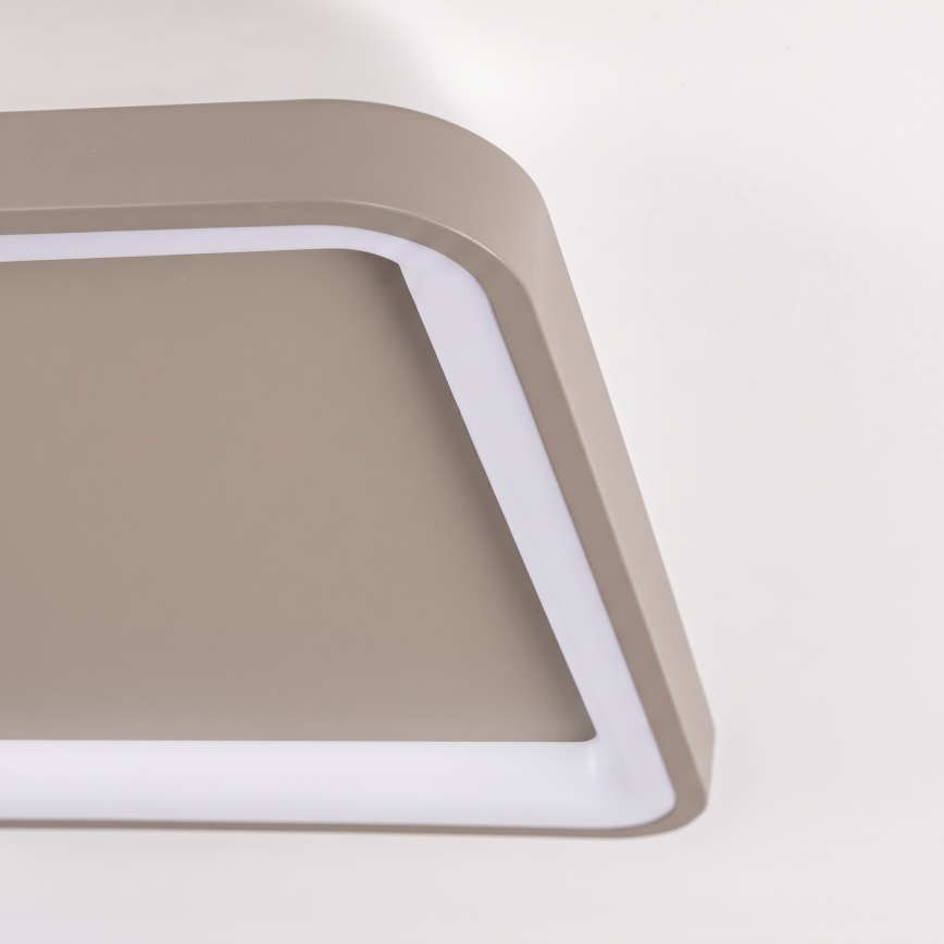 BRILAGI - LED Ρυθμιζόμενο φωτιστικό οροφής FALCON SLIM LED/50W/230V 3000-6500K 50x50 cm μπεζ + τηλεχειριστήριο