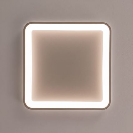 BRILAGI - LED Ρυθμιζόμενο φωτιστικό οροφής FALCON SLIM LED/50W/230V 3000-6500K 50x50 cm μπεζ + τηλεχειριστήριο
