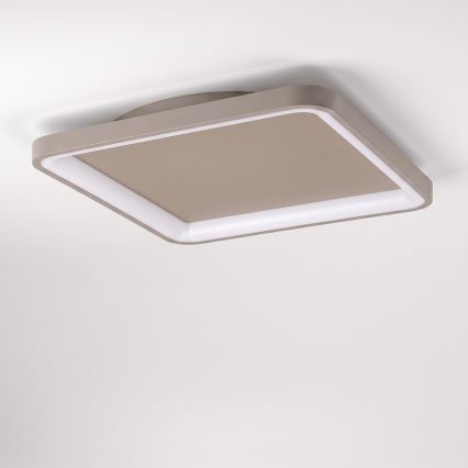 BRILAGI - LED Ρυθμιζόμενο φωτιστικό οροφής FALCON SLIM LED/50W/230V 3000-6500K 50x50 cm μπεζ + τηλεχειριστήριο
