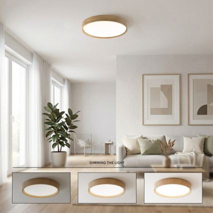 Brilagi - Ρυθμιζόμενο LED φωτιστικό οροφής MANAROLA REMOTE LED/36W/230V 3000-6500K Ø 51 cm δρυς + τηλεχειριστήριο