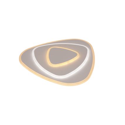 Brilagi - Ρυθμιζόμενο φωτιστικό οροφής LED MODERN LED/58W/230V 3000-6000K 47x48,5 cm+ τηλεχειριστήριο