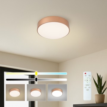 Brilagi - Ρυθμιζόμενο LED φωτιστικό οροφής POOL LED/24W/230V 3000-6000K διάμ. 20 cm μπρονζέ + τηλεχειριστήριο